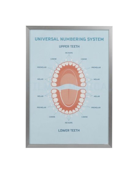 Dental Poster Generic